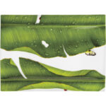 FREEDOM PORTATA RETTANGOLARE 40 X 29 CM TAITU' IN PORCELLANA BONE CHINA