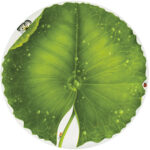 FREEDOM PORTATA ROTONDO 33 CM TAITU