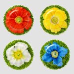 PRATI ITALIANI - PIATTO FRUTTA SET/4 ASSORTITI