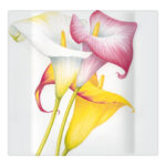 CALLE PIATTO DESSERT 22 CM x 22 CM QUADRO N PORCELLANA BONE CHINA