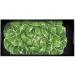 CACTUS - VASSOIO 66X33 CM LEGNO DI BETULLA TAITU'