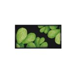 CACTUS - VASSOIO 40X20 CM LEGNO DI BETULLA TAITU'