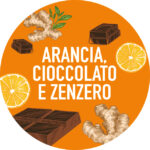 Panettone dello "Zio Don" con arancia, zenzero canditi e perle di cioccolato fondente Kg. 1